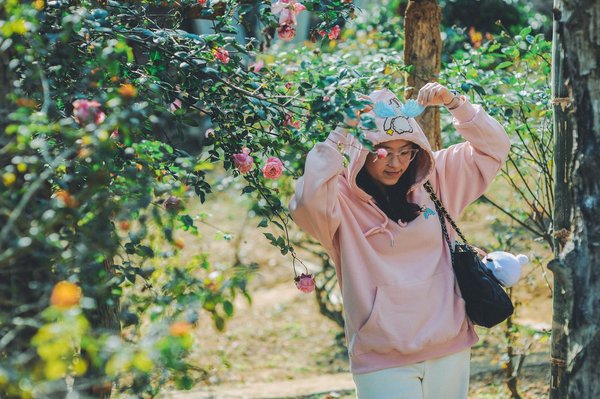 Visite à domicile pour chat : soins et confort à votre porte